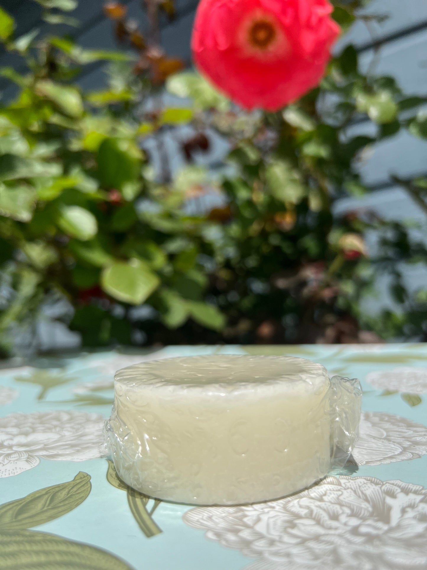 Sage, Rosemary, & Mint- Conditioner Bar