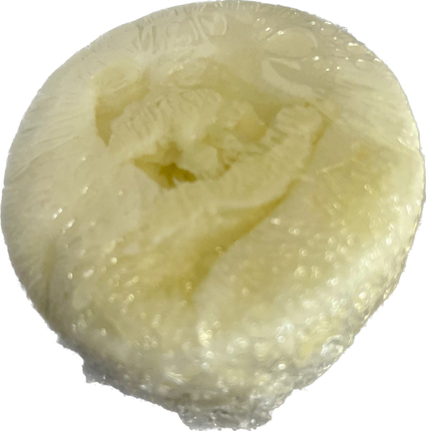 Sage, Rosemary, & Mint- Conditioner Bar
